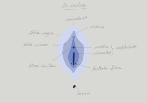 Ceci n'est pas un vagin